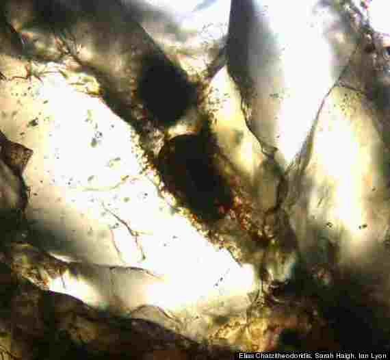 O ovoide do meteorito, registrado através de espectometria (Foto: reprodução)