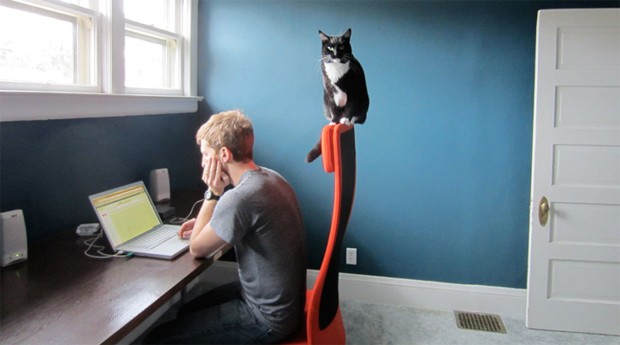 Pets na cadeira: o cômodo escolhido deve se parecer com um escritório (Foto: Photopin)
