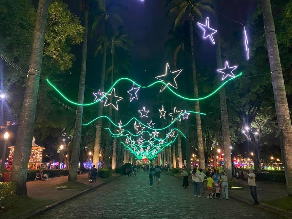 Iluminação de Natal é inaugurada na Praça da Liberdade, em Belo Horizonte;  FOTOS | Minas Gerais | G1