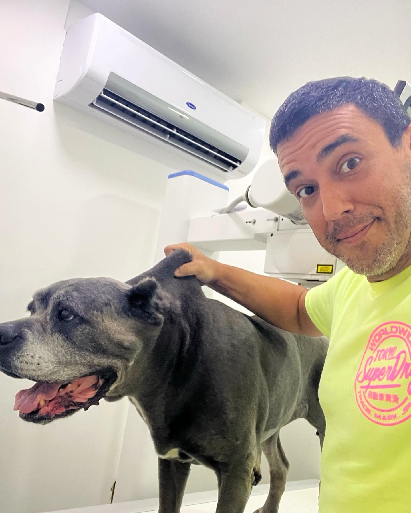 André Marques relata susto com cachorra: (Foto: Reprodução/ Instagram)