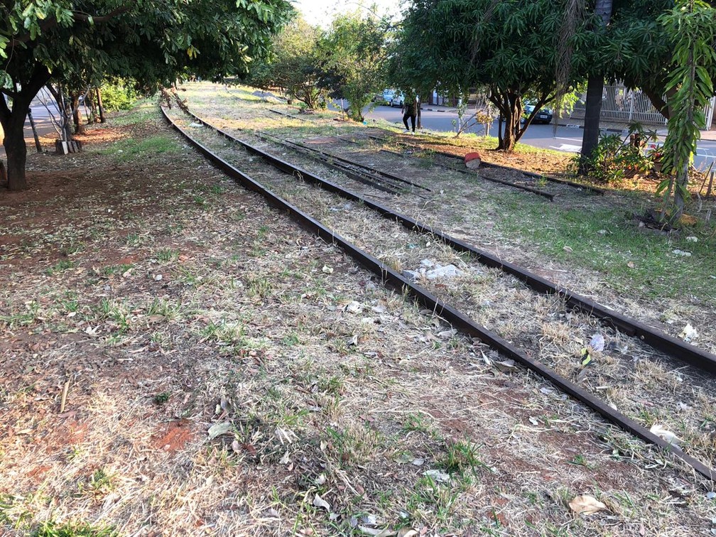 Ferrovia está abandonada na região de Presidente Prudente — Foto: Luís Augusto Pires Batista/TV Fronteira