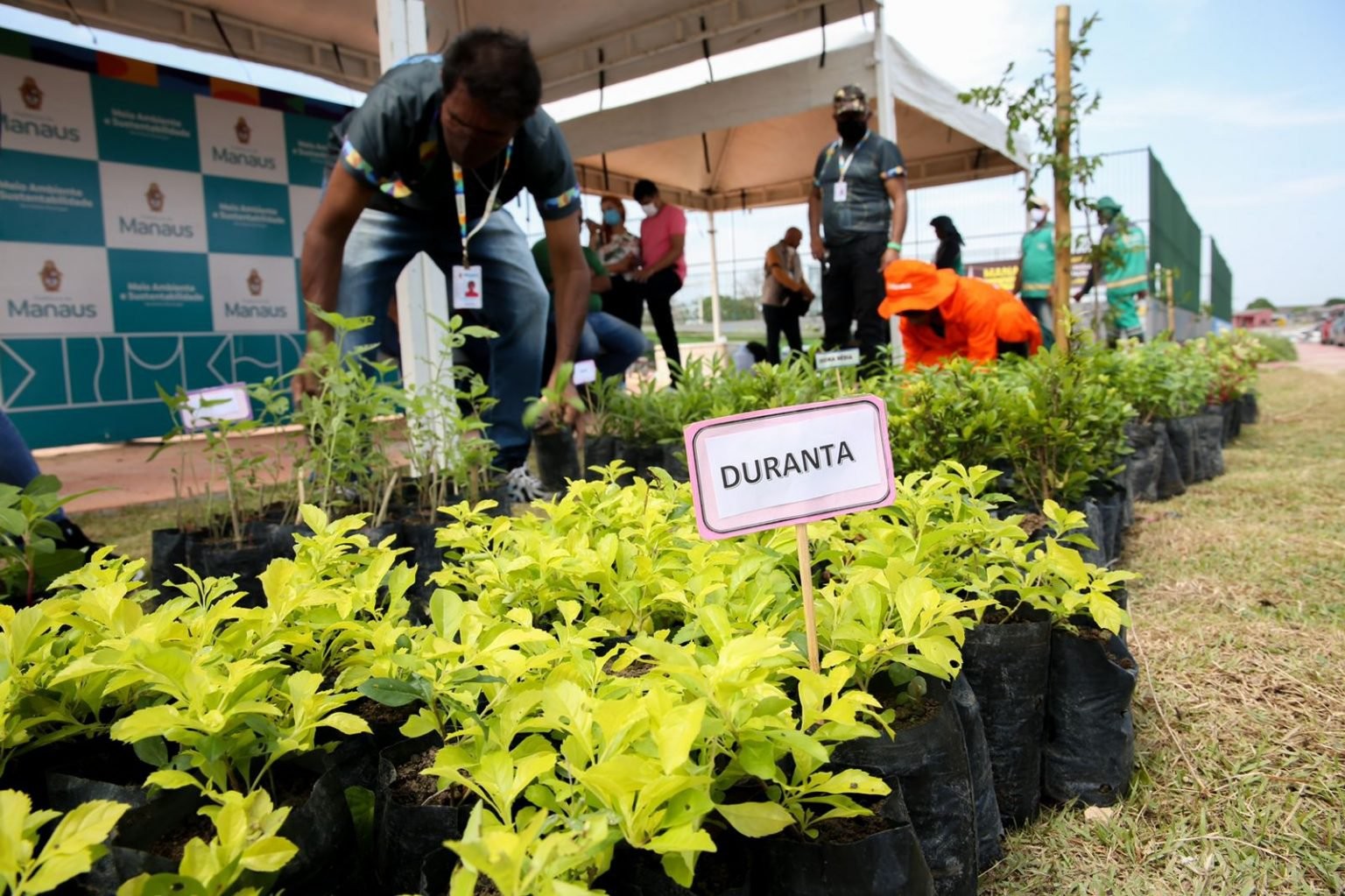 
Ação ambiental vai arrecadar livros e doar mudas de plantas na Zona Centro-Oeste de Manaus