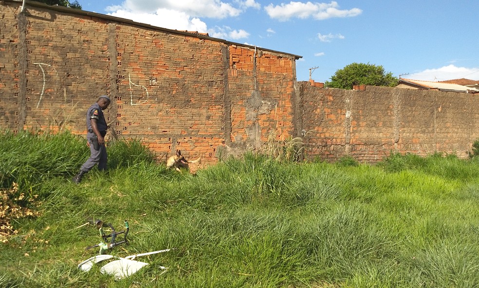 Se não fossem encontradas pelos cães, drogas ainda poderiam estar nas ruas (Foto: Stephanie Fonseca/G1)