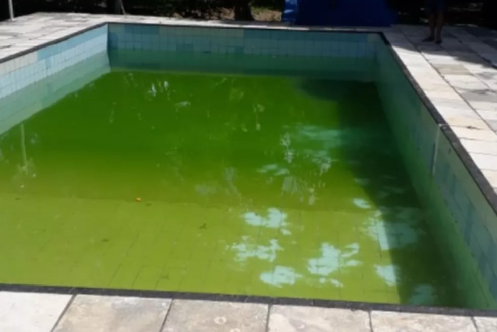 Adolescente De 13 Anos Morre Afogada Apos Entrar Sozinha Em Piscina De Chacara Em Juazeiro Do Norte No Interior Do Ceara Ceara G1