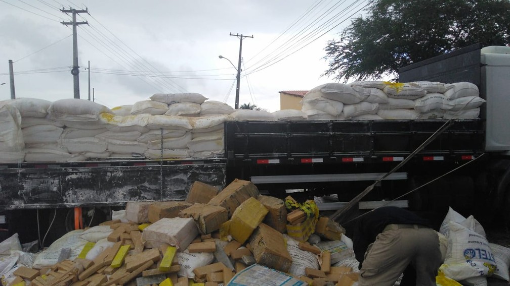 Grande quantidade de maconha Ã© apreendida escondida em carga de farinha na Bahia  â€” Foto: Madalena Braga/TV SubaÃ©