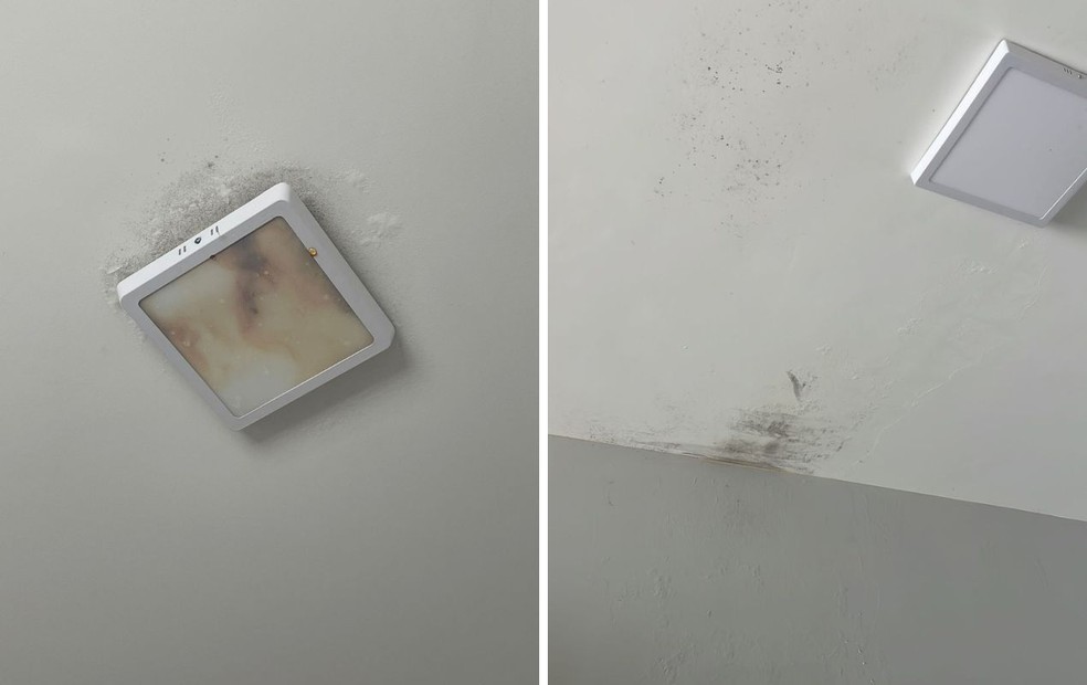 Imóvel comprado por arquiteto de Marília apresenta problemas, como infiltração e bolor — Foto: Pedro Bonani/Arquivo pessoal