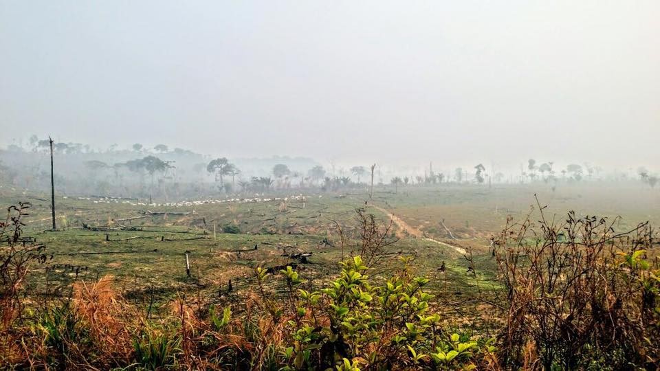 Pecuária e desmatamento se espalha às margens da Transamazônica (Foto: Divulgação/Transamazônica+25)