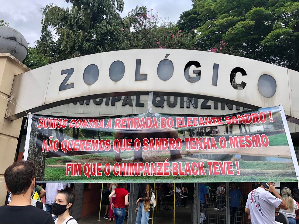 Protesto contra a transferência do elefante Sandro foi realizado em frente ao Zoo de Sorocaba  — Foto: Volta Black/Arquivo Pessoal