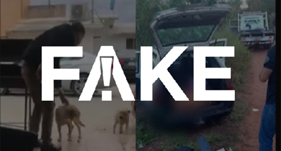 É #FAKE que foto de corpo em porta-malas é de homem que esfaqueou cachorro no México — Foto:  G1