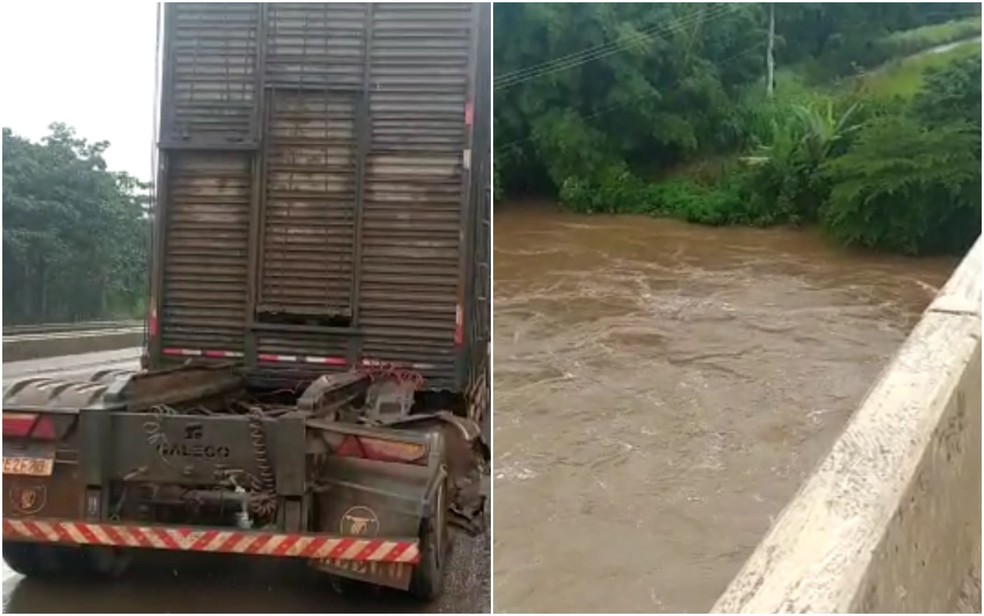 Parte de carreta com gado tomba no Rio Meia Ponte e animais desaparecem na água em Goiânia, Goiás — Foto: Reprodução/TV Anhanguera