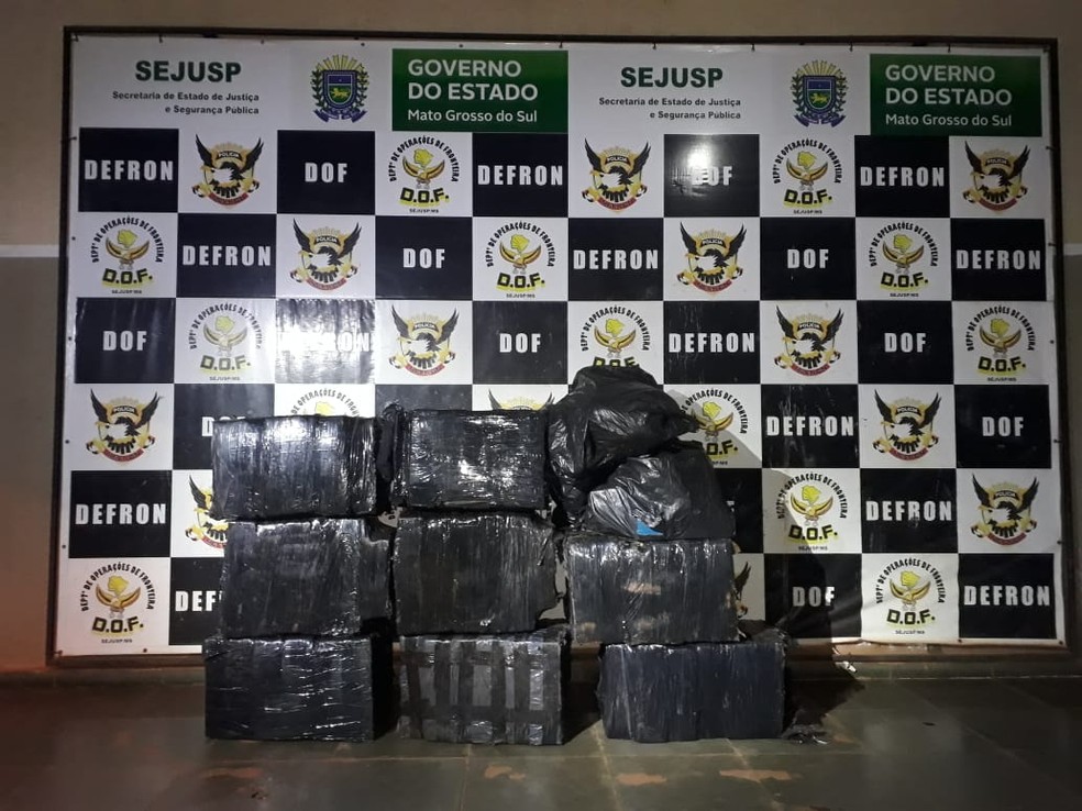 450 kg de droga foram apreendidas pelo DOF  — Foto: DOF/Divulgação