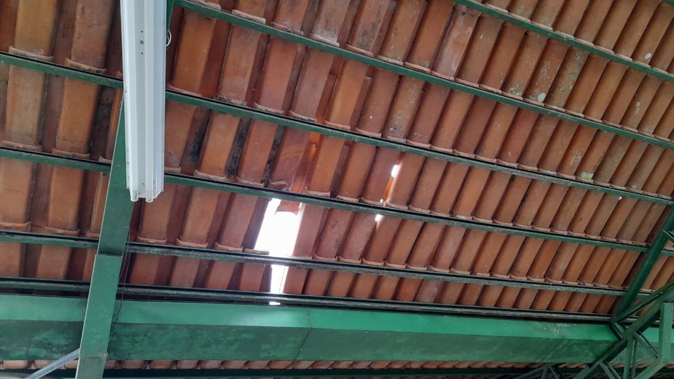 FORRO DA ESCOLA SANTO ANT&Ocirc;NIO &mdash; Foto: DIVULGA&Ccedil;&Atilde;O