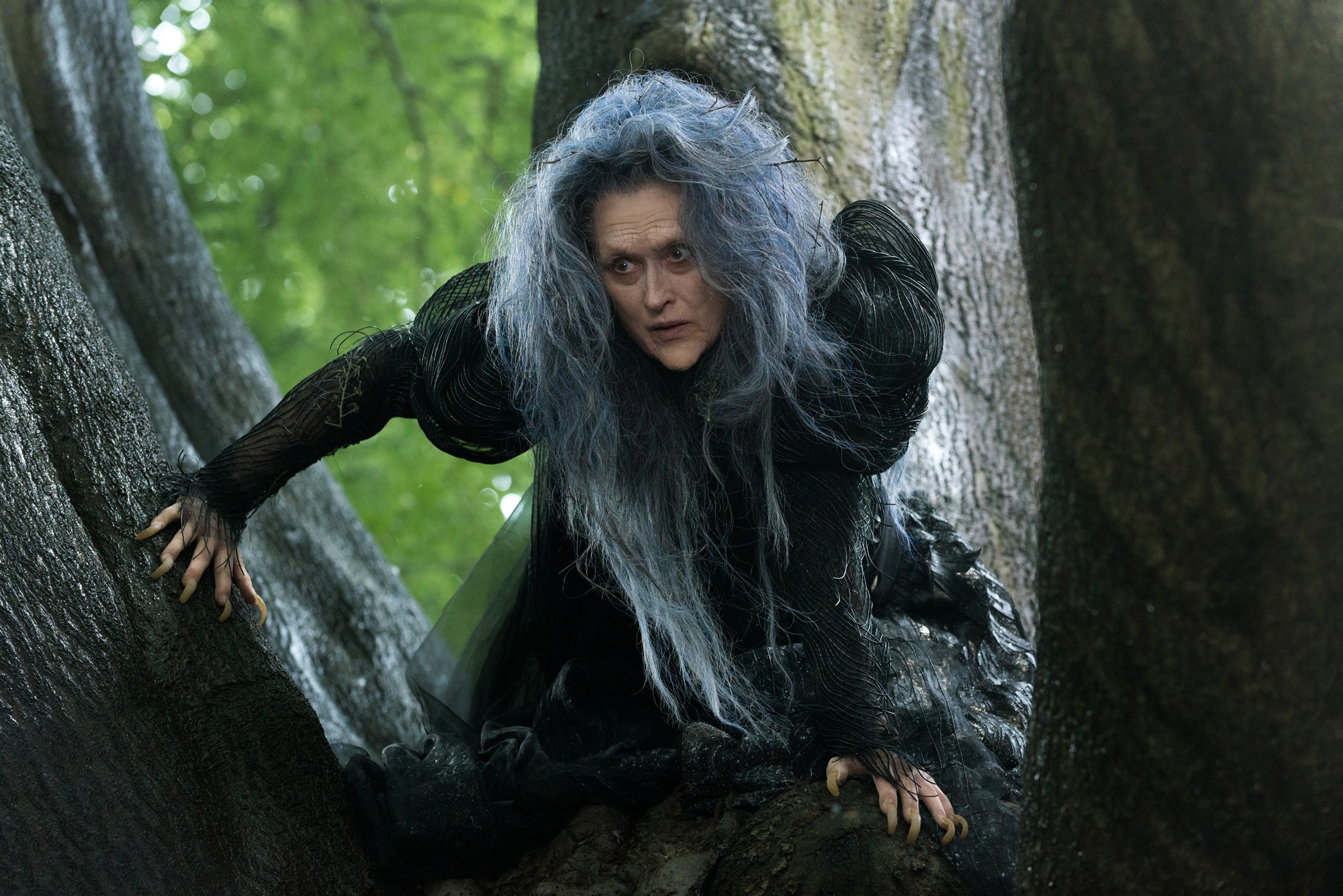 Meryl Streep em 'Caminhos da Floresta' (Foto: Divulgação)