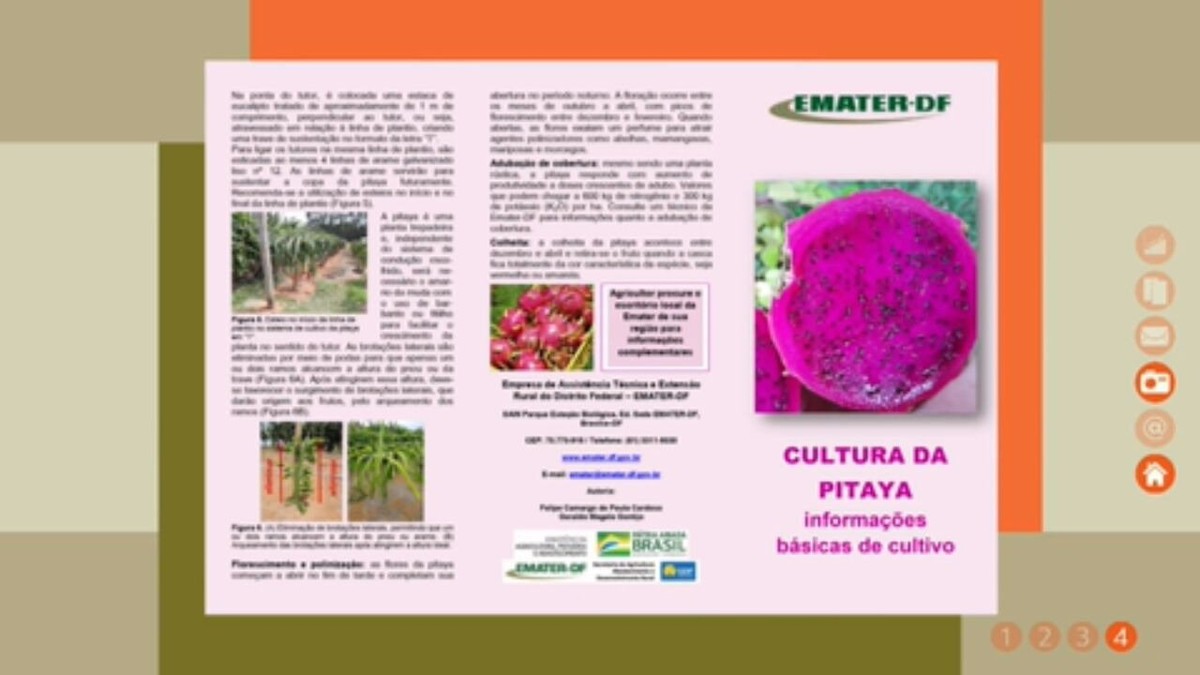 Folheto mostra como começar o cultivo de pitaya