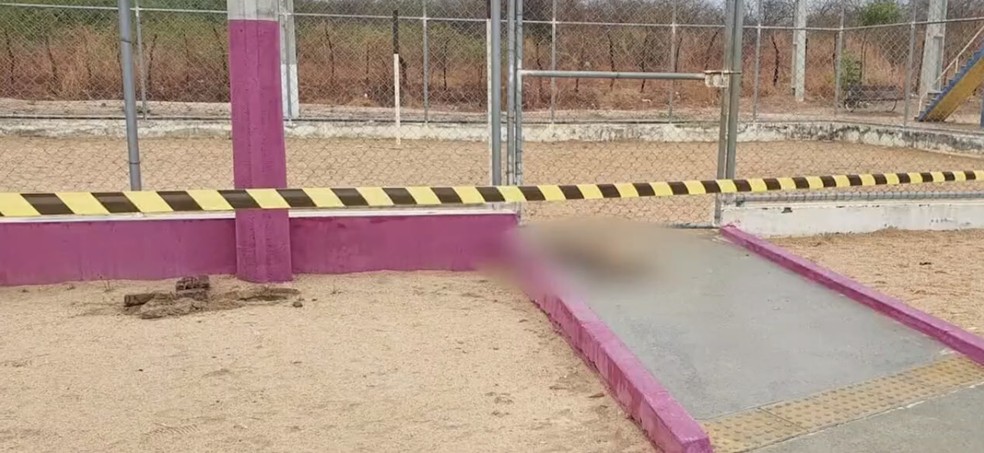 Cachorro morreu no trecho em que a menina tomou o choque em Mossoró — Foto: Reprodução/Inter TV Costa Branca