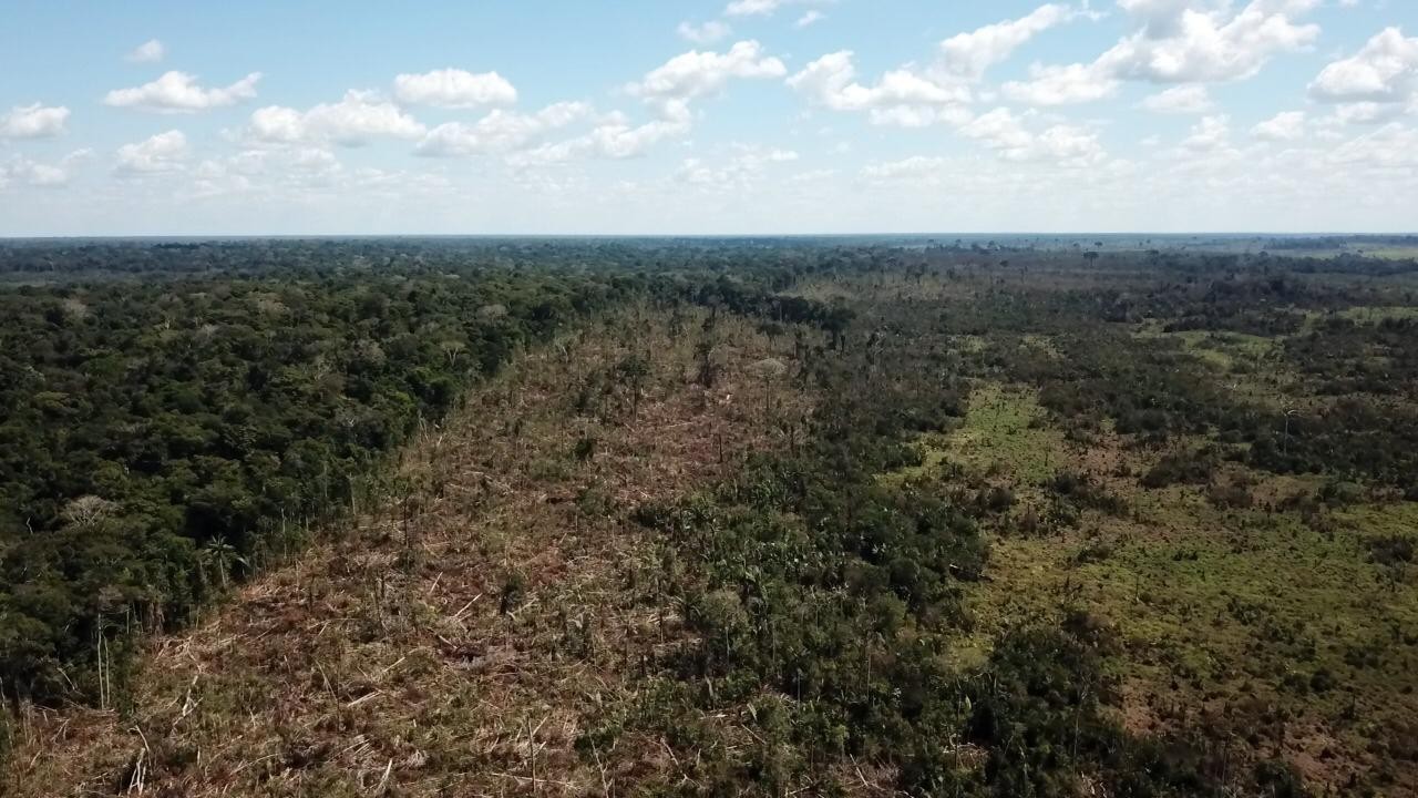 Amazônia Legal: desmatamento no Acre mais que dobra em fevereiro e atinge sete quilômetros quadrados