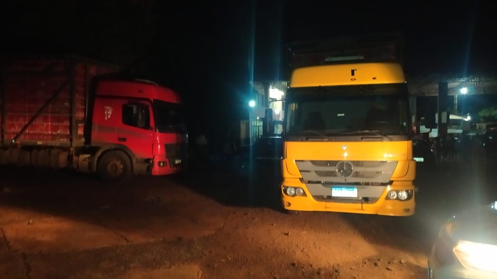Cerca de 200 galinhas foram furtadas de caminhões em Ibirarema nesta terça-feira (23) — Foto: Polícia Militar/ Divulgação