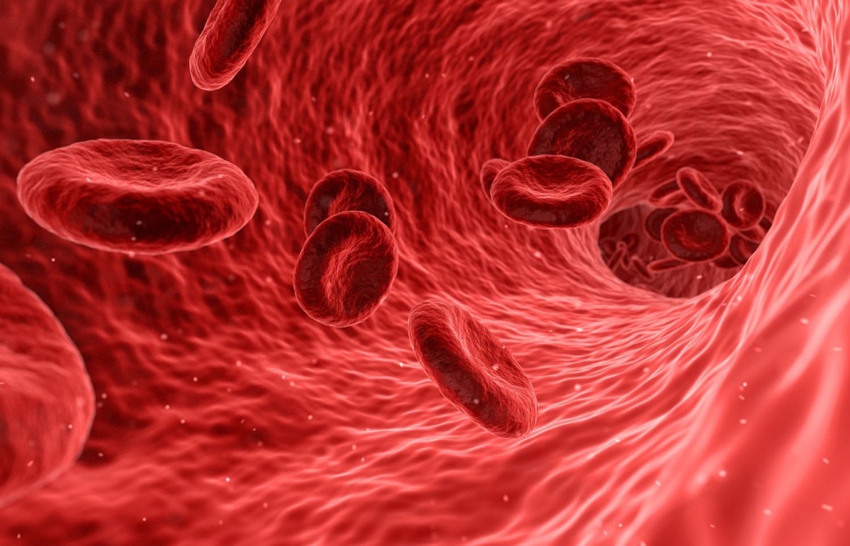 Especialistas alertam para potenciais danos aos vasos sanguíneos atrelados ao uso de cigarros eletrônicos (Foto: NIH)