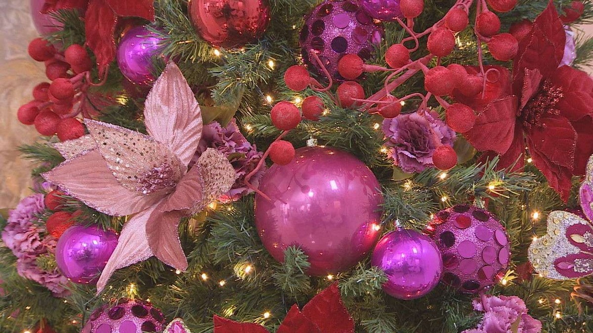 Empresas de decoração de Natal têm agenda lotada e preveem lucro de até R$  400 mil | PEGN | G1