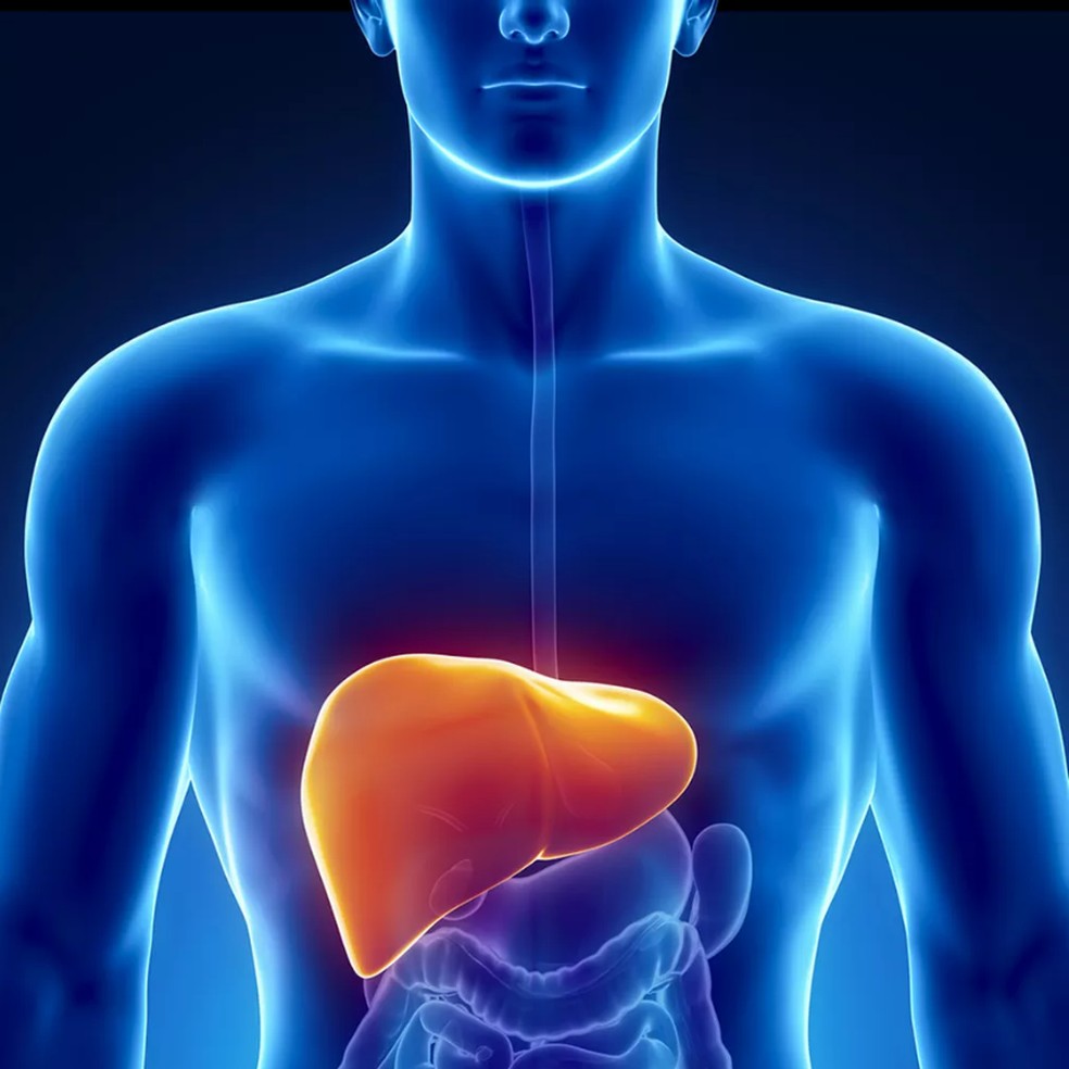 Hepatite é uma doença que afeta o funcionamento do fígado — Foto: Divulgação