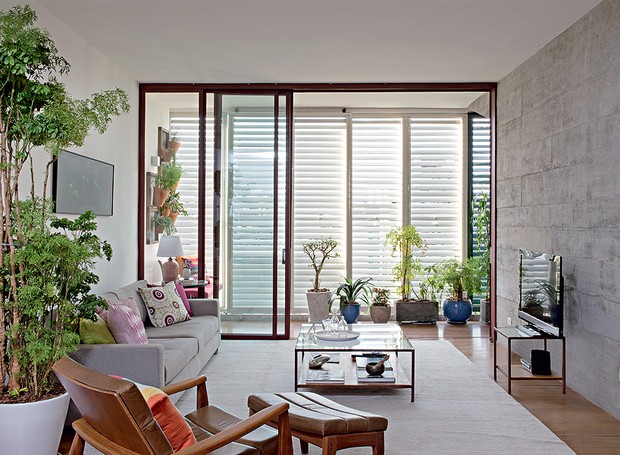 Com muitas plantas, a sala do seu apartamento vai parecer um verdadeiro quintal. O verde pode estar em vasos apoiados no chão ou pendurados na parede, como no projeto do escritório Apiacás Arquitetos (Foto: Marcelo Magnani/Casa e Jardim)