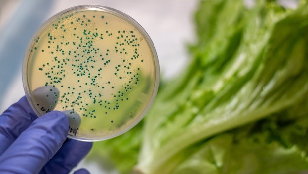 Alimento contaminado por salmonella: biossensor desenvolvido no Brasil identifica contaminação de forma mais rapida e eficiente (Foto: Getty Images via BBC News Brasil)