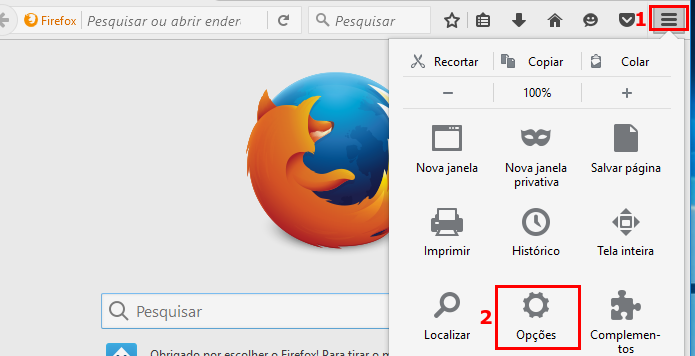 Acessando as preferências do Firefox (Foto: Reprodução/Edivaldo Brito)