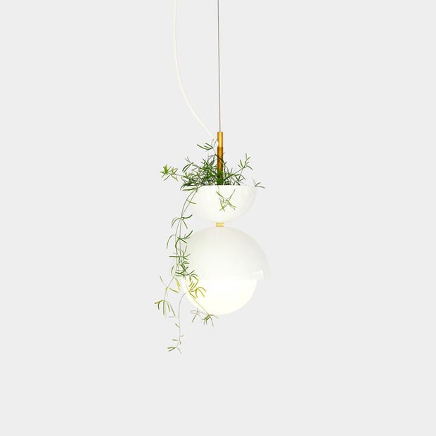Designer canadense cria luminária minimalista que funciona como vaso (Foto: Divulgação)