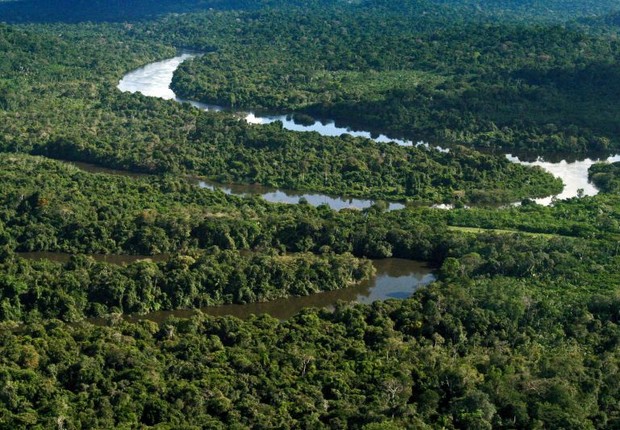 meio ambiente, sustentabilidade, preservação, amazônia (Foto: Tamara Sare/Fotos Públicas)