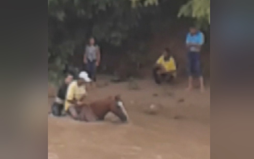 Moradores de povoado atravessam córrego até a cavalo em Niquelândia, Goiás — Foto: TV Anhanguera