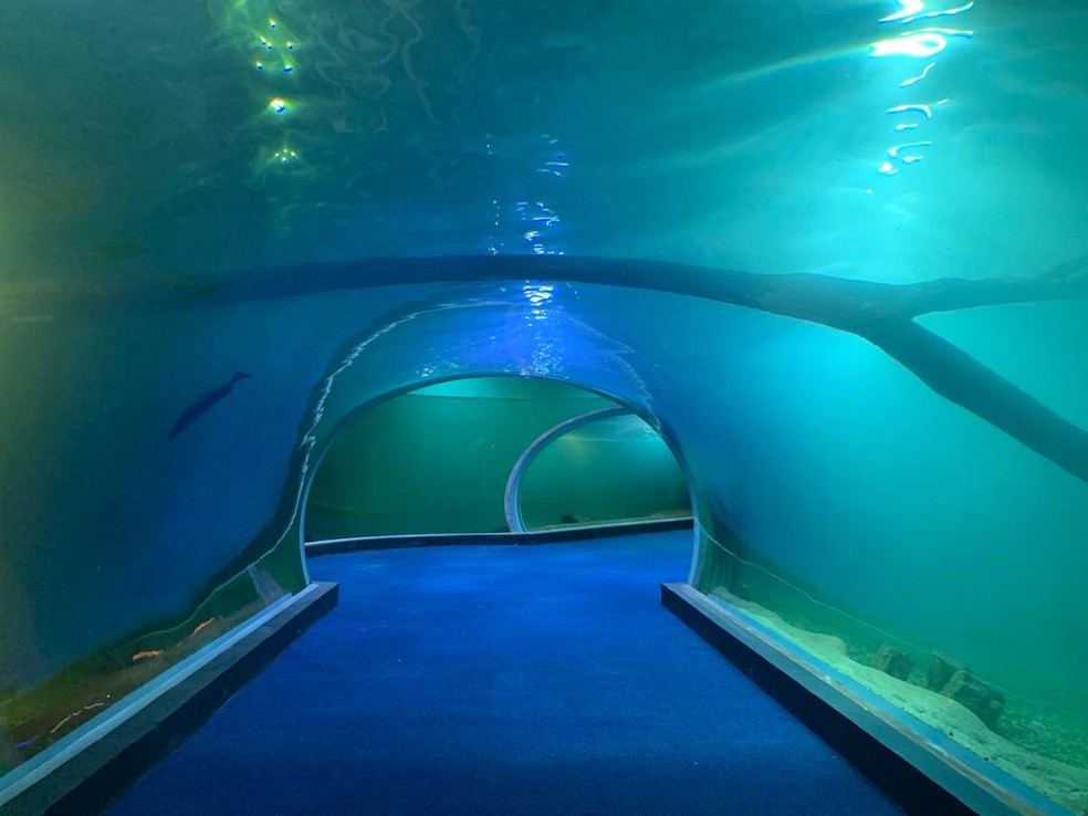 Visitantes poderão andar em túnel "em meio" às águas.  — Foto: Renata Fontoura