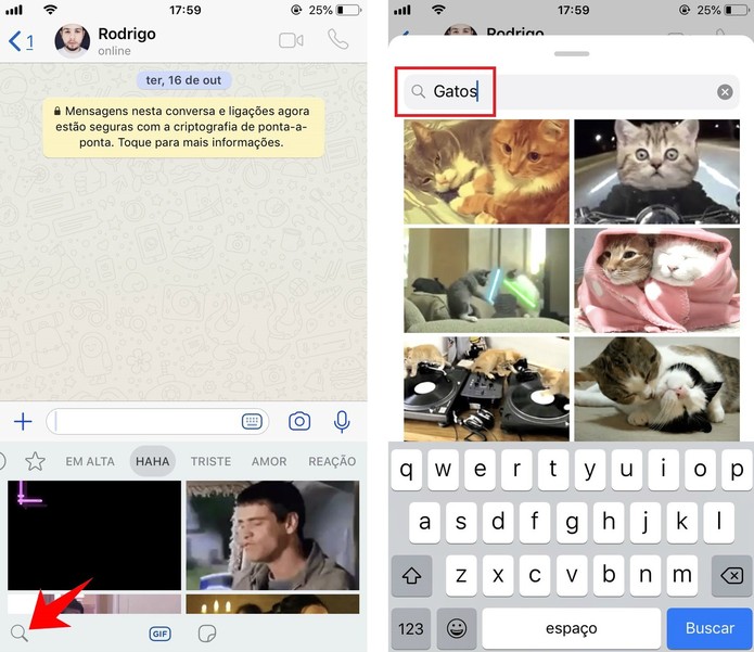 Pesquise por GIFs específicos nas conversas do WhatsApp (Foto: Reprodução/Rodrigo Fernandes) Pesquise por GIFs específicos nas conversas do WhatsApp (Foto: Reprodução/Rodrigo Fernandes)