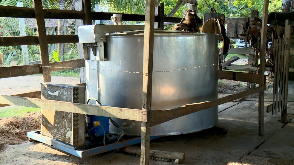 Custos altos de produção desanimam produtores de leite — Foto: Reprodução/ TV Gazeta