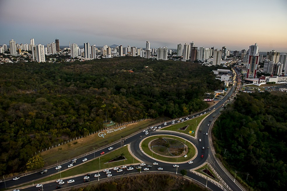 Projeto Verde Novo distribui mudas de árvores — Foto: GCom MT/José Medeiros