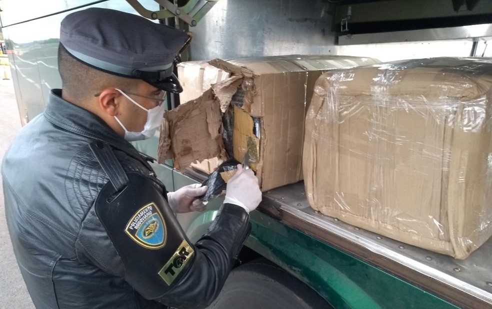 Diversos tijolos de maconha e skunk são apreendidos em bagageiro de ônibus em rodovia de Iaras — Foto: Polícia Militar Rodoviária/Divulgação