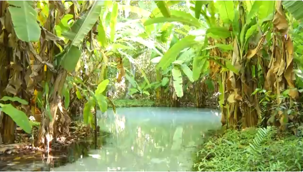 Fervedouro é um dos pontos turísticos do Jalapão — Foto: TV Anhanguera/Reprodução