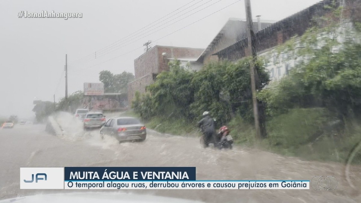 Chuva alaga avenidas e derruba árvores e até muro de terreno em Goiânia ...