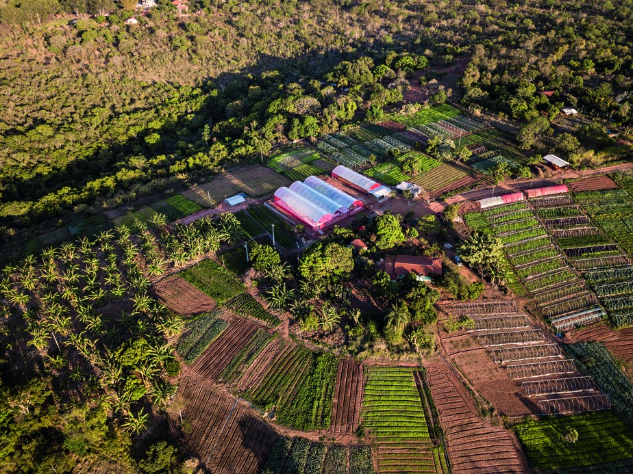 Vista aérea da Horta Santa Helena, do produtor Weviton Santos Feitosa, em Montes Claros (MG)