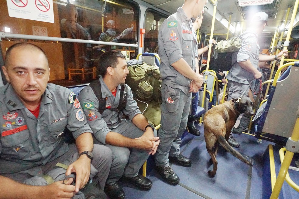 Equipe foi enviada pelo estado para atuar no resgate às vítimas do terremoto  — Foto: Governo de SP/Divulgação