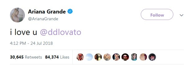 Ariana Grande lamenta internação de Demi Lovato (Foto: Reprodução / Twitter)