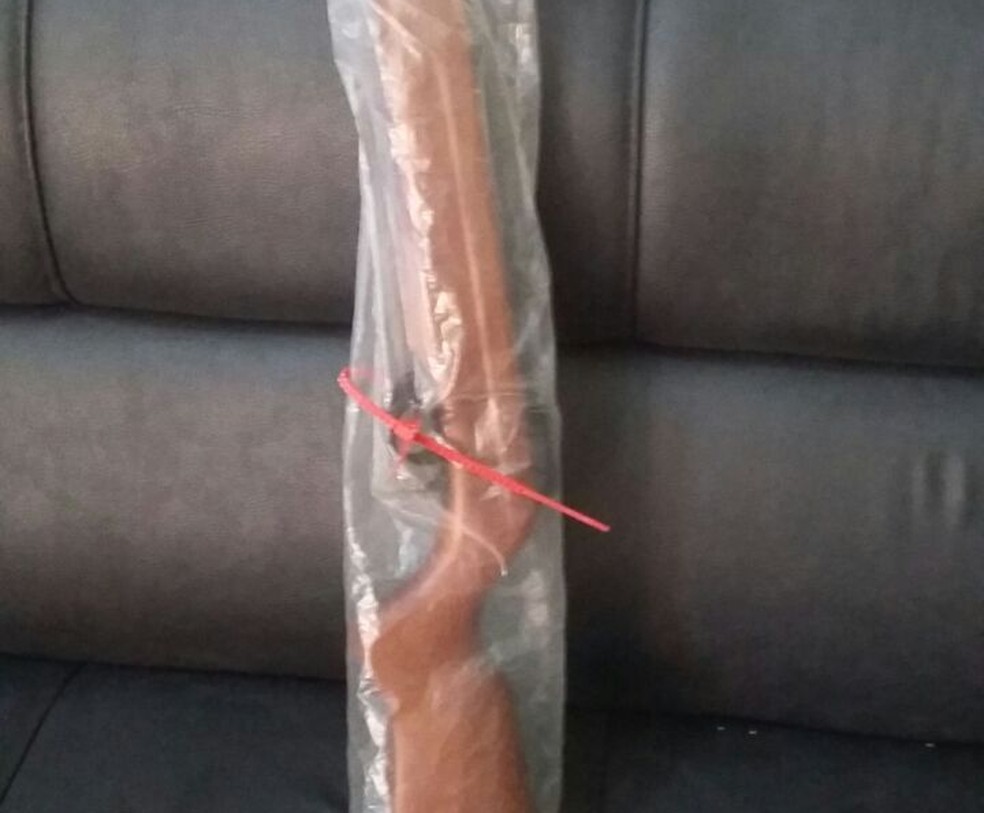 Arma foi apreendida após menino ser atingido com tiro de chumbinho em Areiópolis (Foto: Polícia Civil/Divulgação)