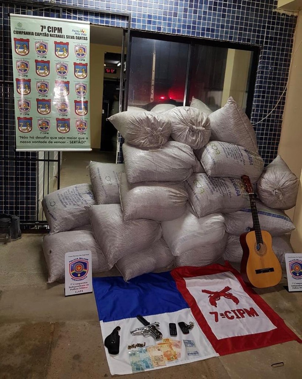 Maconha encontrada em Santa Maria da Boa Vista — Foto: Divulgação / PM