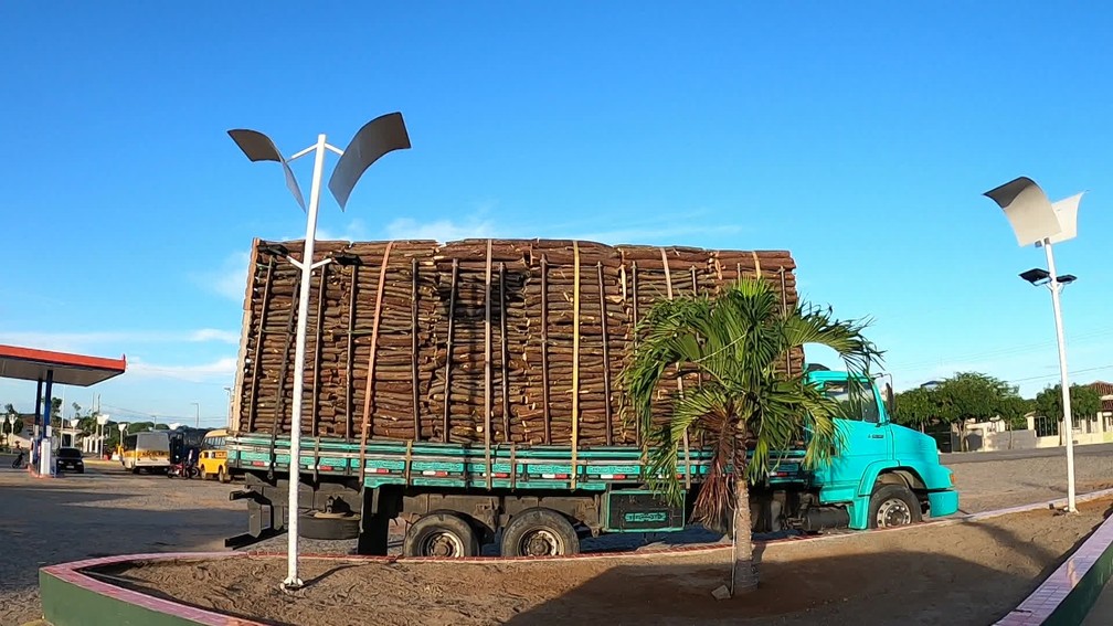 Caminhões carregados de madeira são comuns nas estradas do Sertão de Pernambuco  — Foto: Ezequiel Quirino/TV Globo