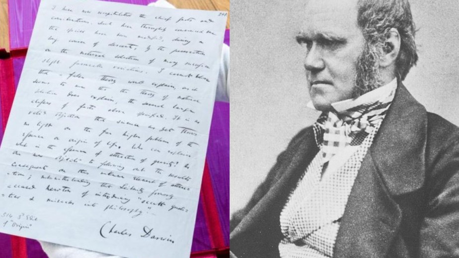 Manuscrito raro de Charles Darwin será leiloado em novembro