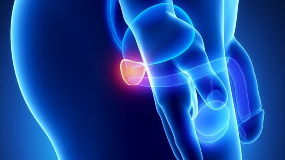 A próstata fica localizada entre o reto e a base do pênis — Foto: Getty Images