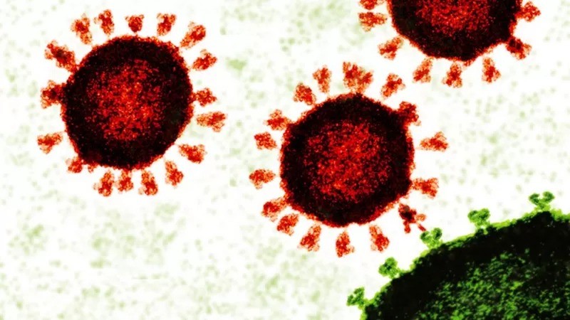 Na ilustração, coronavírus (em vermelho) se conecta com o receptor de célula (em verde) (Foto: GETTY IMAGES via BBC)