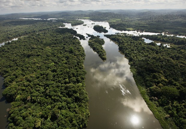 Floresta Amazônica 