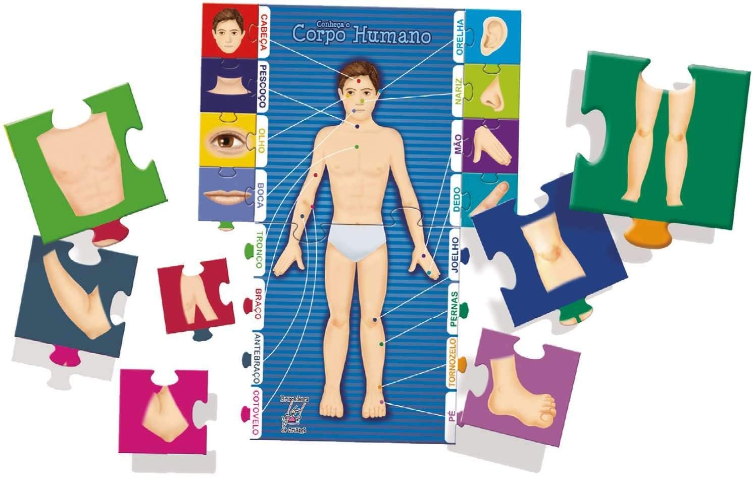 Brinquedo pedagógico conheça o corpo humano (Foto: Reprodução/Amazon)