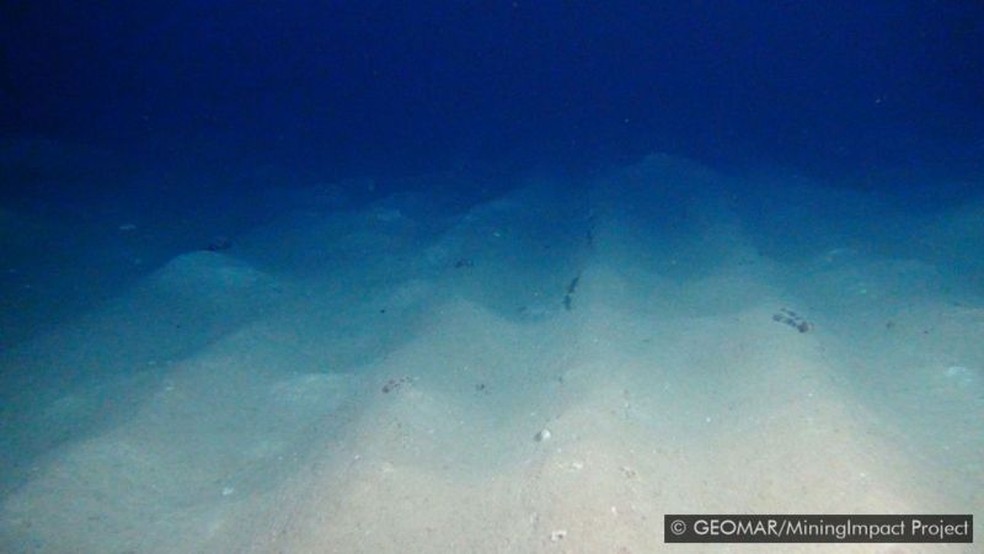 Essas marcas deliberadas no leito do oceano tinham 26 anos nesta foto tirada em 2015 — Foto: GEOMAR/MININGIMPACT PROJECT