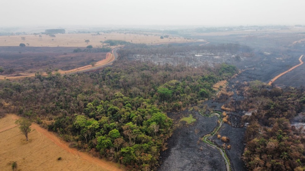 Imagens aéreas mostram dimensão de área do antigo IPA atingida por queimada em Rio Preto (SP) — Foto: Polícia Militar Ambiental/Divulgação